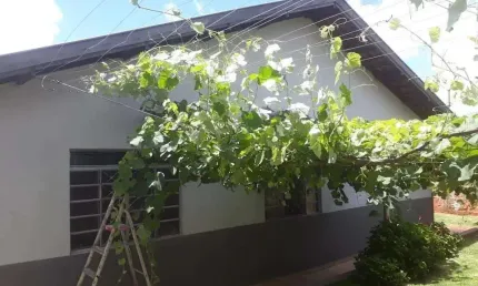 Casa com 3 quartos à venda no Califórnia, Londrina 