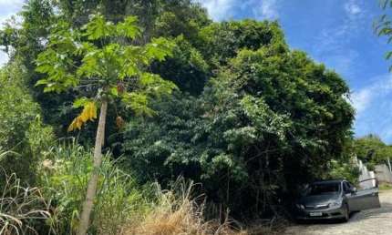 Terreno à venda, 474 m² por R$ 350.000,00 - Ribeirão da Ilha - Florianópolis/SC