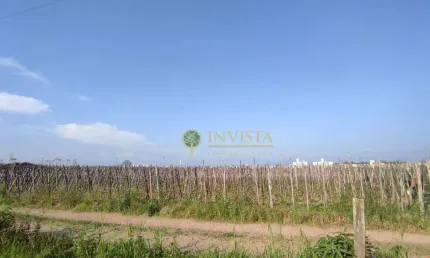 Terreno à venda na Rua Duzentos E Noventa, 1, Guarda do Cubatão, Palhoça