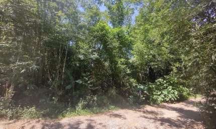 Terreno à venda na Servidão Bambuzal, 140, Campeche, Florianópolis
