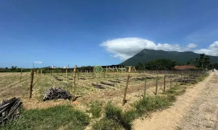 Terreno comercial à venda na Servidão João Vieira, 500, Guarda do Cubatão, Palhoça