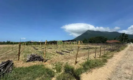 Terreno comercial à venda na Servidão João Vieira, 500, Guarda do Cubatão, Palhoça