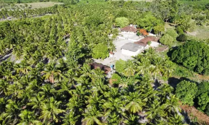 Propriedade Rural à Venda – 70 Hectares no Município do Conde/PB