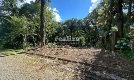 Terreno à venda na Narciso Perottoni, Vila Suica, Canela