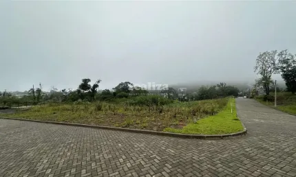 Terreno à venda na Jose Caberlon, Várzea Grande, Gramado