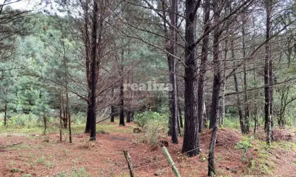 Apartamento à venda na Estrada Em Direção Ao Ferradura, Zona Rural, Canela