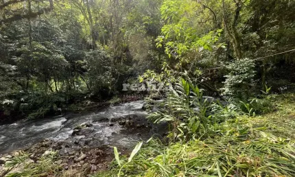 Chácara / sítio à venda na Estrada Para Usina Do Canastra, Canastra Alta, Canela