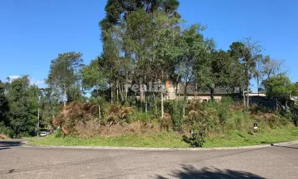 Terreno à venda na Rua Arthur Renheimer, Vivendas do Arvoredo, Gramado