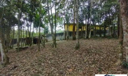 Terreno comercial à venda no Dos Finco, São Bernardo do Campo 