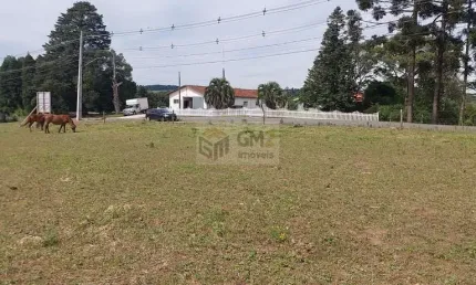 Terreno à venda na Avenida Presidente Ernesto Geisel, Lote 09, Colonia Witmarsum, Palmeira