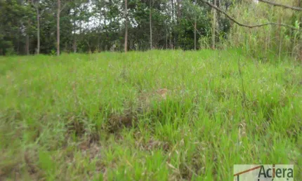 Terreno em condomínio fechado à venda na Avenida José Giorgi, Granja Viana II, Cotia