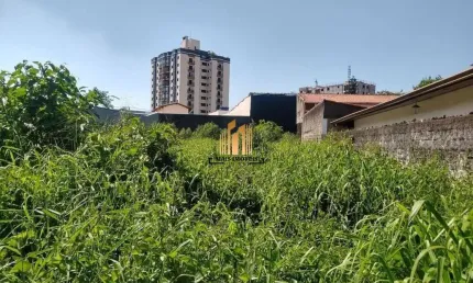 Terreno comercial para alugar na Avenida São Luiz, Vila Rosália, Guarulhos