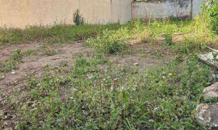 Terreno a venda, 264 m² por R$ 930.000 - Vila Leopoldina - São Paulo/SP