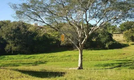 Terreno à venda, 6920 m² - Paragem dos Verdes Campos - Gravataí/RS