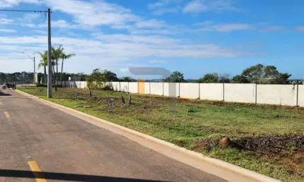 Terreno em condomínio fechado à venda na Estrada Vânius Abílio dos Santos, Santa Cruz, Gravataí