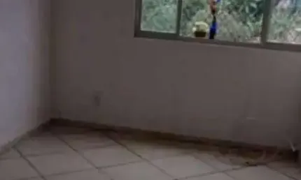 Apartamento com 2 quartos à venda na Rua Agave Dragão, 63, Fazenda da Juta, São Paulo