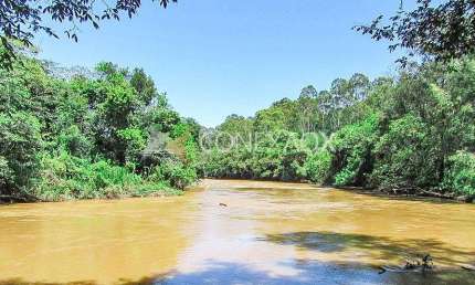 Terreno à venda na Rua Maria Leonor Pinheiro Porto, 945, Bananal, Campinas, 260 m2 por R$ 1.250.000