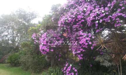 Terreno à venda na Alameda Carlos de Carvalho Vieira Braga, Km 5,5A, Chácaras Alpina, Valinhos por R$ 5.200.000