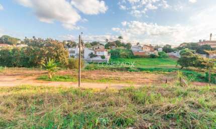 Terreno à venda na Rua Doutor Gustavo Rodrigues Pereira Dutra, 341, Jardim das Paineiras, Campinas por R$ 242.500