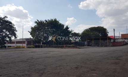 Barracão / Galpão / Depósito para alugar na Rua Jacy Teixeira Camargo, 110, Jardim do Lago, Campinas, 877 m2 por R$ 50.000