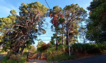 Terreno comercial à venda na Rua Lauro Vannucci, 690, Parque Rural Fazenda Santa Cândida, Campinas por R$ 4.990.572