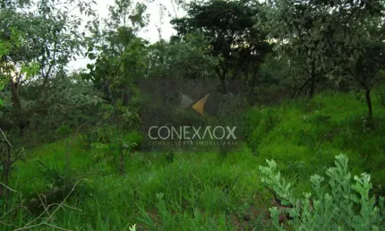 Terreno comercial à venda na Rodovia José Roberto Magalhães Teixeira, km 5, Roncáglia, Valinhos por R$ 2.372.000