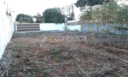 Terreno comercial à venda na Rua Doutor Antônio Augusto de Almeida, 741, Cidade Universitária, Campinas por R$ 649.900