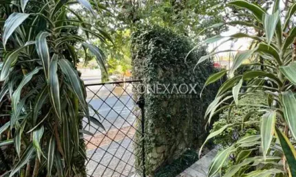 Casa comercial à venda na rua doutor emílio ribas, 531, cambuí, campinas, 297 m2 por r$ 3.624.000