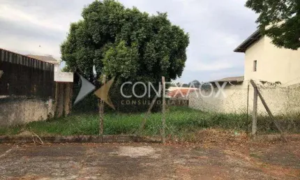 Terreno comercial à venda na Rua Carolina Prado Penteado, 1.101, Nova Campinas, Campinas por R$ 1.044.000