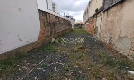Terreno comercial para alugar na Avenida Governador Pedro de Toledo, 820, Bonfim, Campinas por R$ 2.000