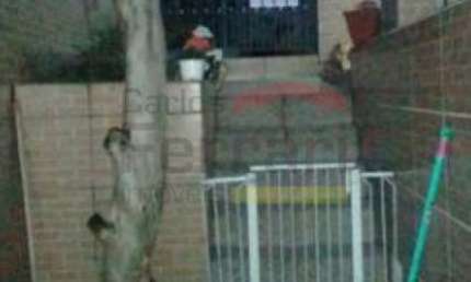 Casa na zona norte Parada Inglesa a 5 minutos do metro