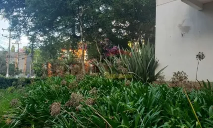 Casa comercial com 6 salas para alugar na Avenida Pacaembu, 1560, Barra Funda, São Paulo