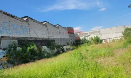 Terreno Casa Verde Alta 1.575m plano a 100m da Avenida Engenheiro Caetano