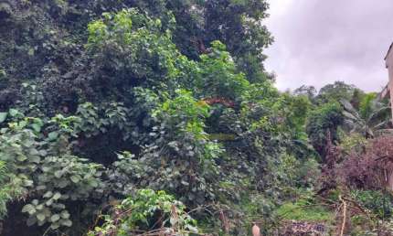 Terreno à venda na Avenida Nova Cantareira, 3924, Tucuruvi, São Paulo