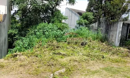 Terreno à venda na Rua Sebastião Leal, Jardim Virgínia Bianca, São Paulo