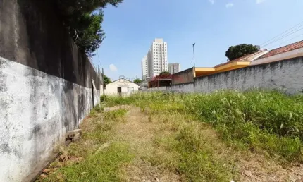 Terreno para venda ou locação, Vila Ré, excelente área para construir.