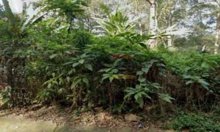 Terreno à venda na Avenida Nova Cantareira, 7220, Tucuruvi, São Paulo