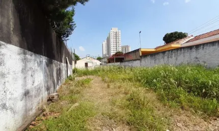 Terreno para venda ou locação, Vila Ré, excelente área para construir.