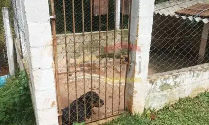 Chácara / sítio com 6 quartos à venda na Est Ouro Fino Pedra Branca, Ouro Fino, Santa Isabel