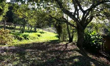 Chácara / sítio com 1 quarto à venda no Desvio Rizzo, Caxias do Sul  por R$ 410.000