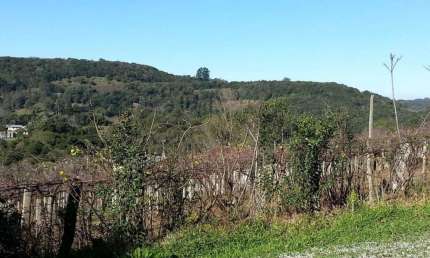 Chácara / sítio à venda no Kayser, Caxias do Sul  por R$ 1.225.000