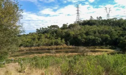 Chácara / sítio com 2 quartos à venda na Nossa Senhora das Graças, Caxias do Sul  por R$ 329.900