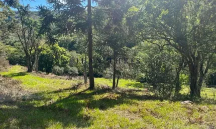 Chácara / sítio à venda na Zona Rural, Caxias do Sul  por R$ 180.000