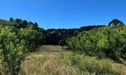 Chácara / sítio com 1 quarto à venda na Fazenda Souza, Caxias do Sul  por R$ 170.000
