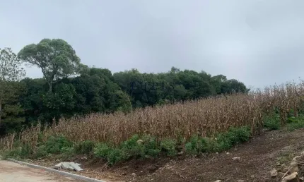 Terreno à venda no Nova Roma (Distrito), Flores da Cunha  por R$ 105.000