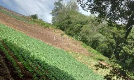 Chácara / sítio à venda no Galópolis, Caxias do Sul 