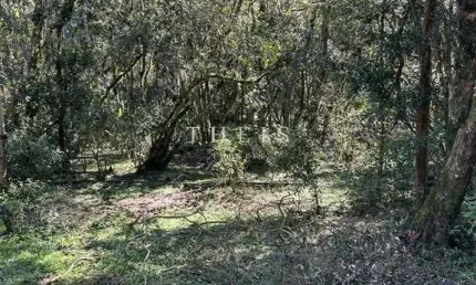 Chácara / sítio com 2 quartos à venda na Vila Seca, Caxias do Sul  por R$ 200.000
