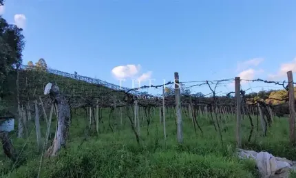 Chácara / sítio à venda no kayser, caxias do sul  por r$ 470.000