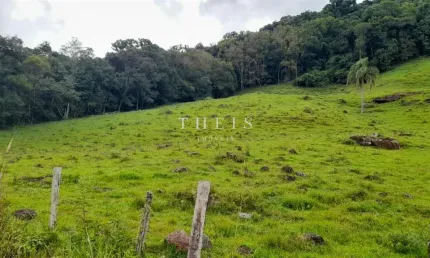 Chácara / sítio com 1 quarto à venda na zona rural, caxias do sul  por r$ 2.100.000