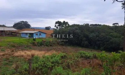 Chácara / sítio com 2 quartos à venda na Zona Rural, Caxias do Sul , 20000 m2 por R$ 275.000